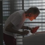 A Destruição de Bernardet