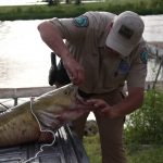 Patrulheiros da Natureza