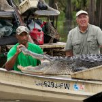 Mergulhados no Pântano