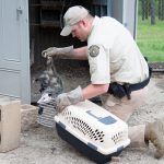 Nova temporada de “Patrulheiros da Natureza” registra trabalho da polícia ambiental no Texas