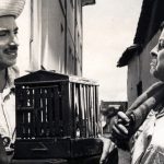 Candinho