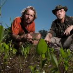 Desafio em Dose Dupla