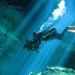 Nova série do Discovery viaja em busca de pistas sobre as origens de animais raros