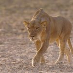 Vale de Água e Fogo