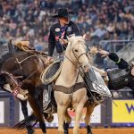 Terraviva anuncia parceria com os canais Smithsonian Channel e RFD TV