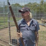 Sobrevivendo ao Tiger King