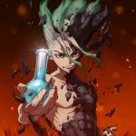 dr stone
