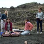 The Wilds