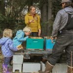 Alasca: A Última Fronteira