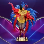 tms-fantasia-arara-16-9