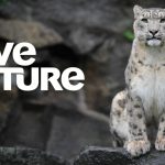 love nature
