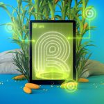 CNN Brasil e Canal Rural anunciam parceria inédita