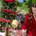 natal em pemberley manor