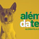 alem_dog