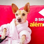 A semana: novo streaming +SBT, HBO vs Telecine e mais!