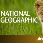 Adeus NatGeo: canal de documentários promete deixar saudades